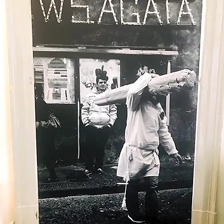 Agatha Cosy Κατάνια